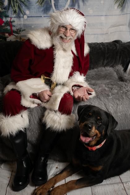 Enlarge Lenny, a Adoptable mixed breed in Burlington, WI image 3/3