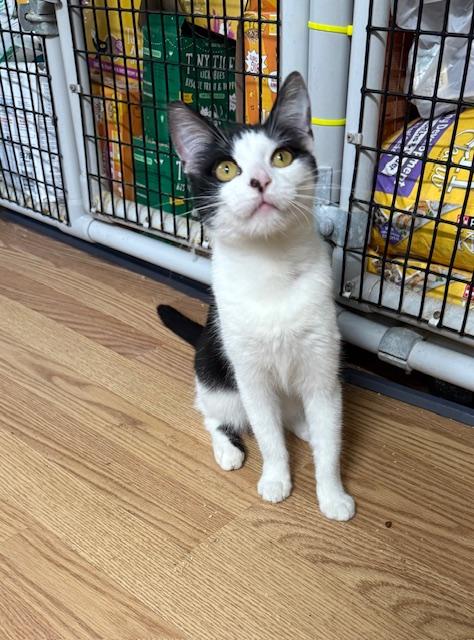 Wednesday thumbnail 2