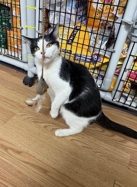 Wednesday thumbnail 4