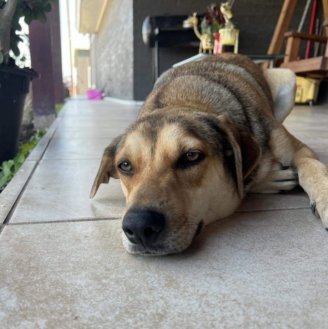 Grace — thumbnail 2