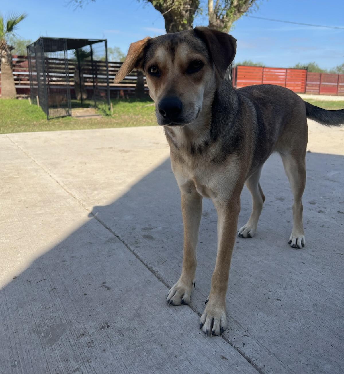 Grace — thumbnail 3