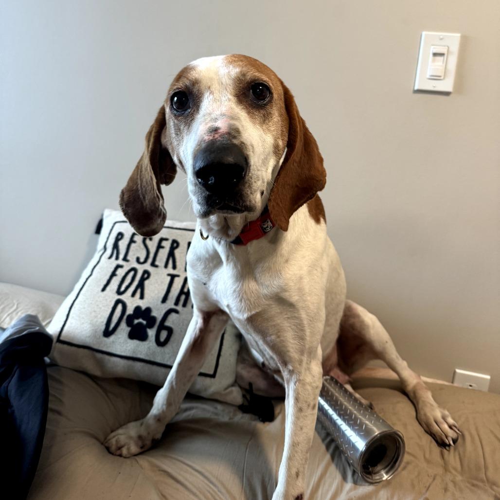 Baby — thumbnail 2