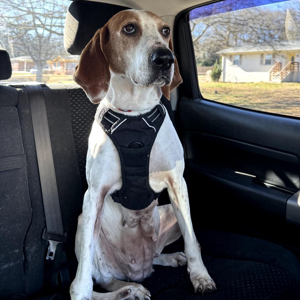 Baby — thumbnail 3