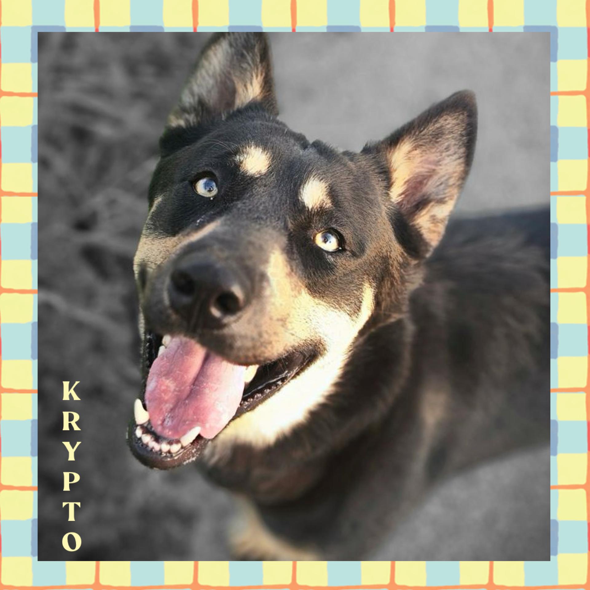 Krypto