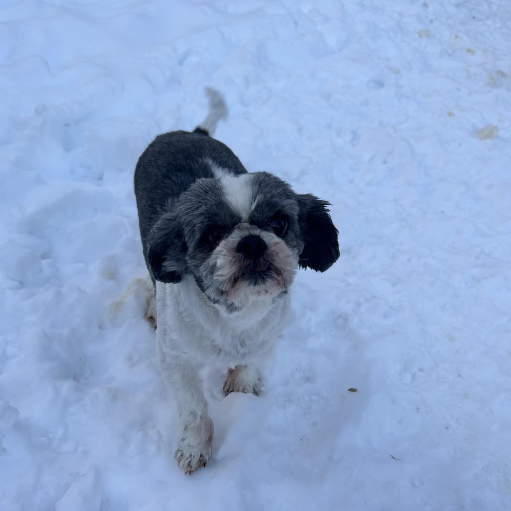 Paddington thumbnail 3