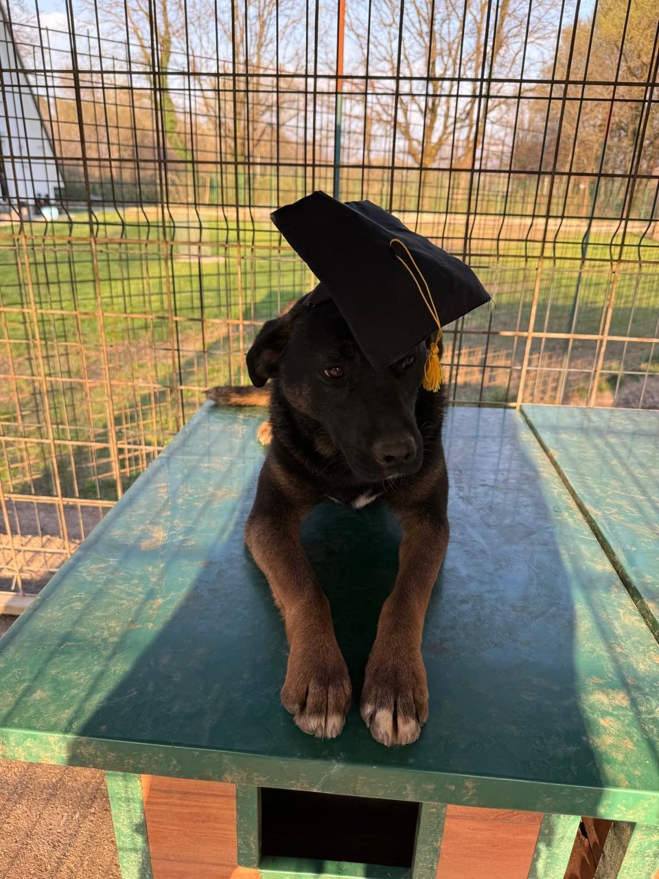 Alexa — thumbnail 3