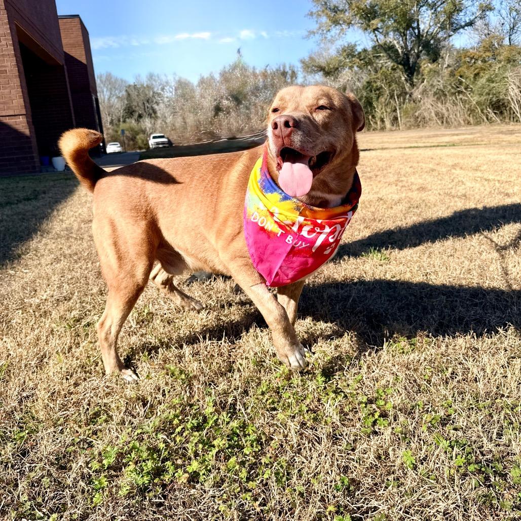 Gustav — thumbnail 3