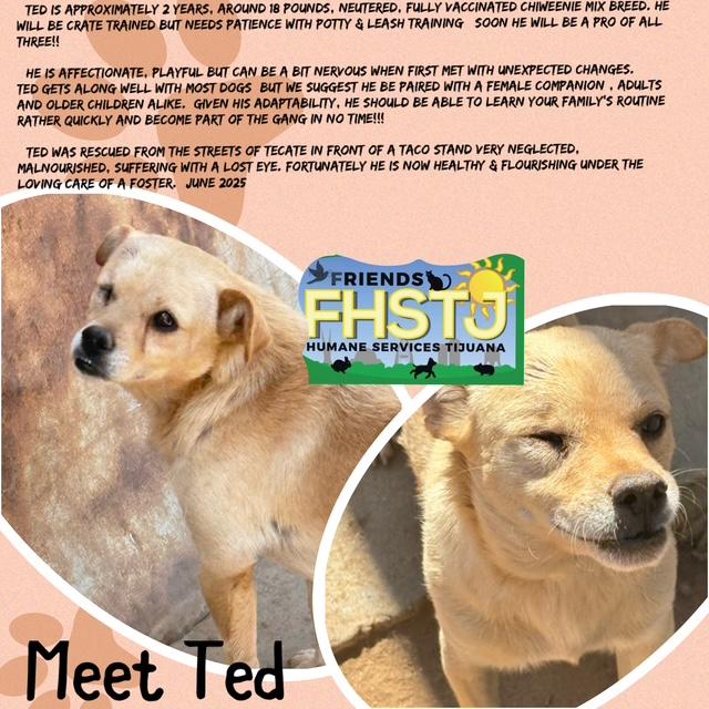 Ted