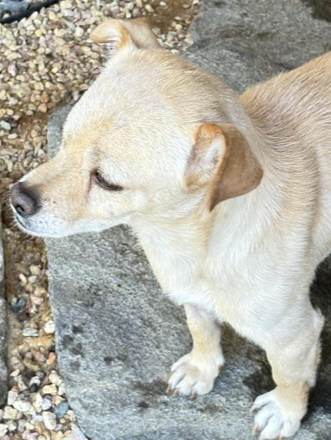 Ted