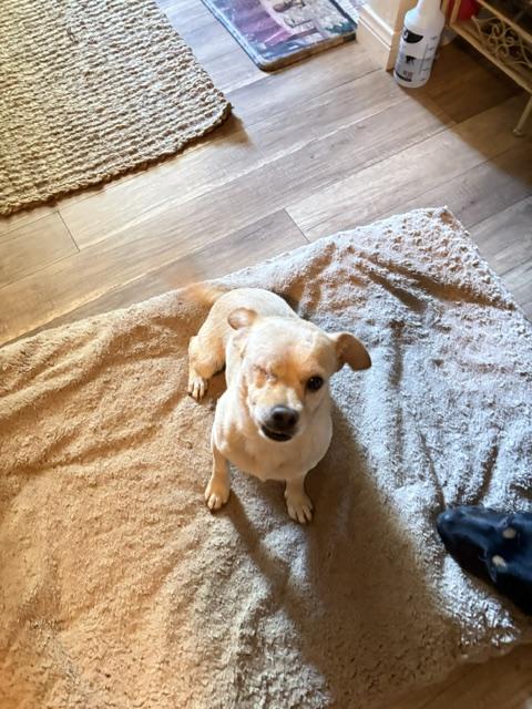 Ted
