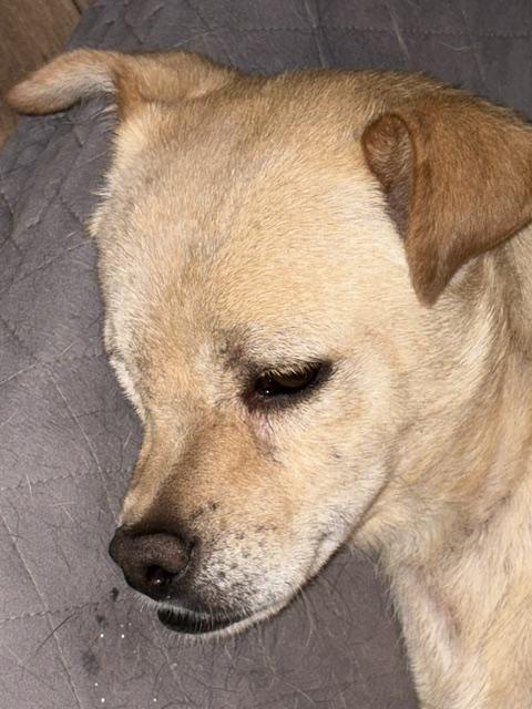 Ted