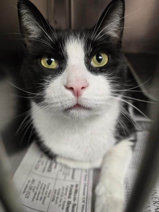 Sammy — thumbnail 5