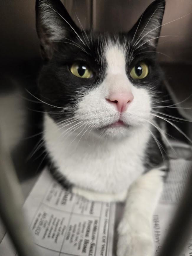 Sammy — thumbnail 6