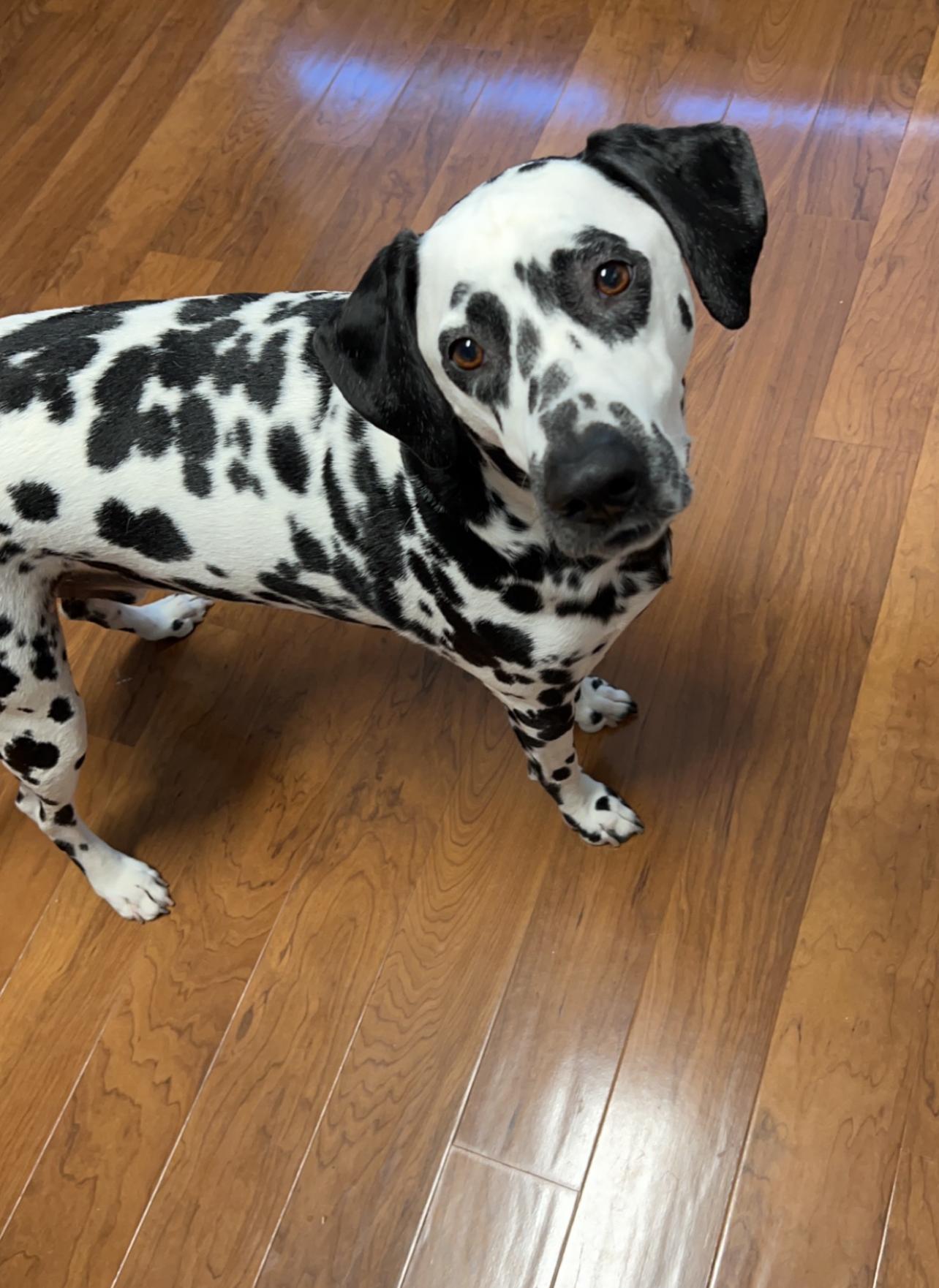 Leo-Waxhaw, NC
