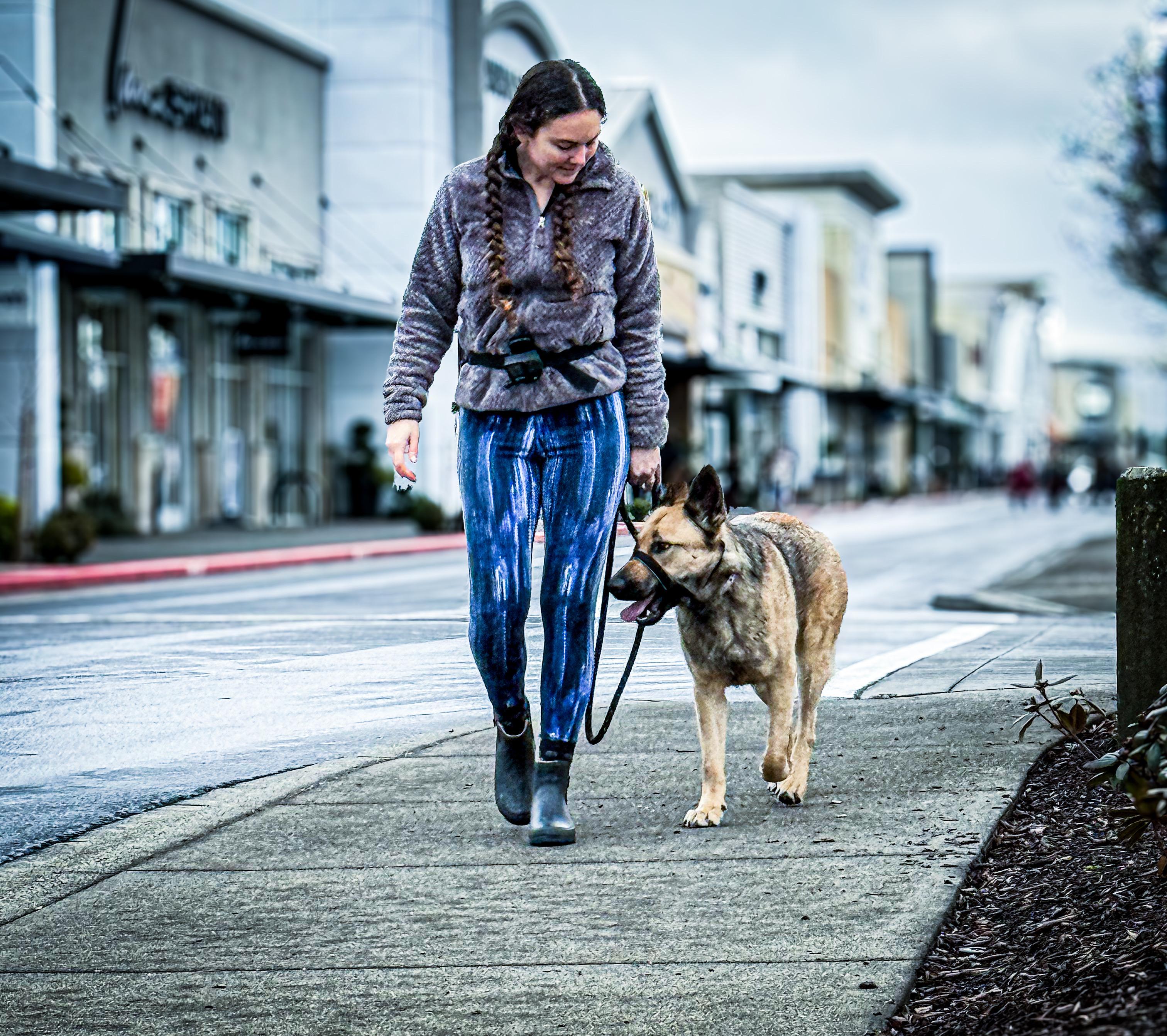 Krash, an adoptable German Shepherd Dog in Hood River, OR, 97031 | Photo Image 4