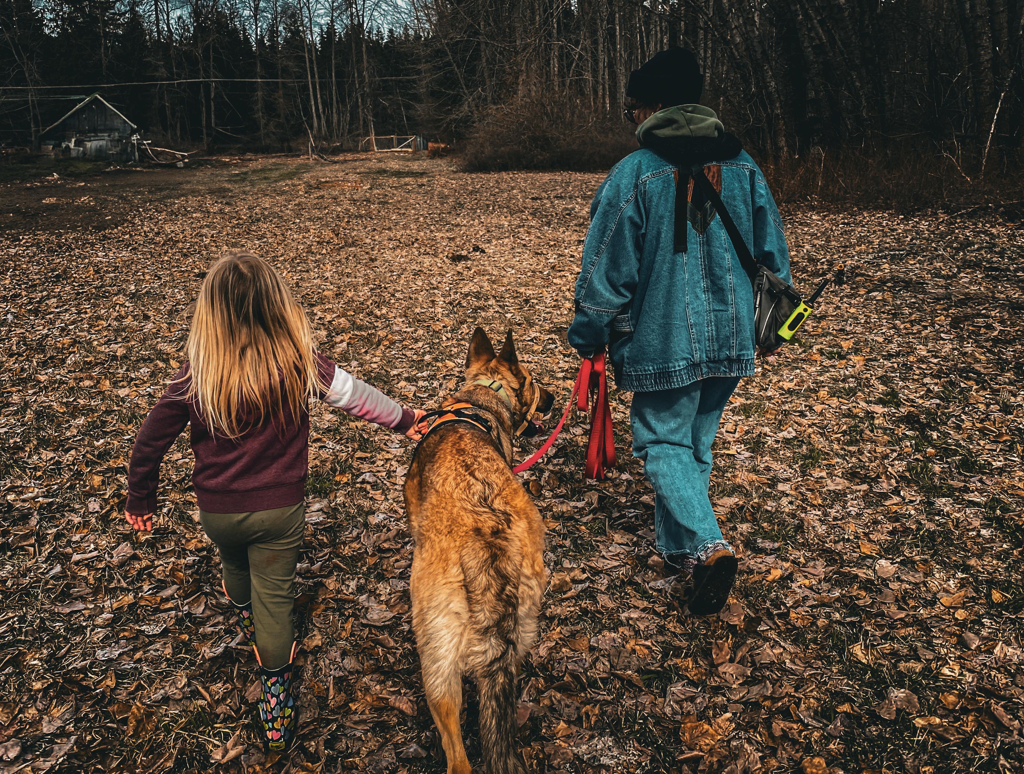 Enlarge Krash, a Adoptable mixed breed in Hood River, OR image 5/5