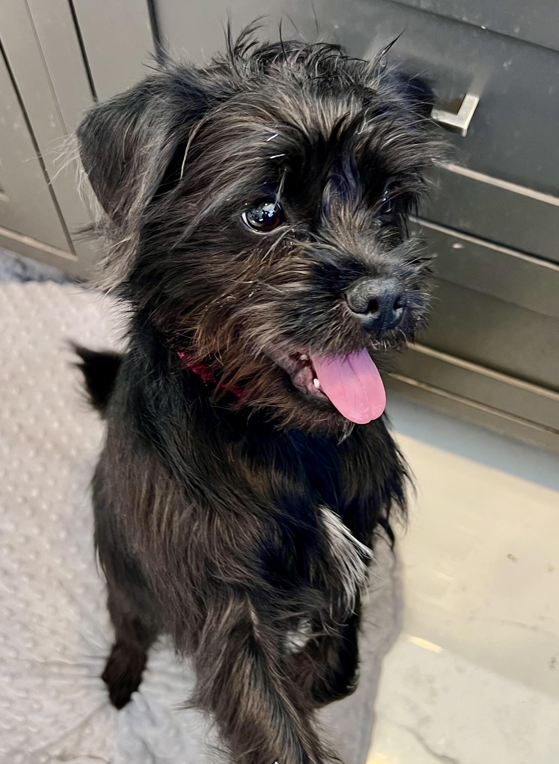 Penny Could Be Your Lucky Charm!