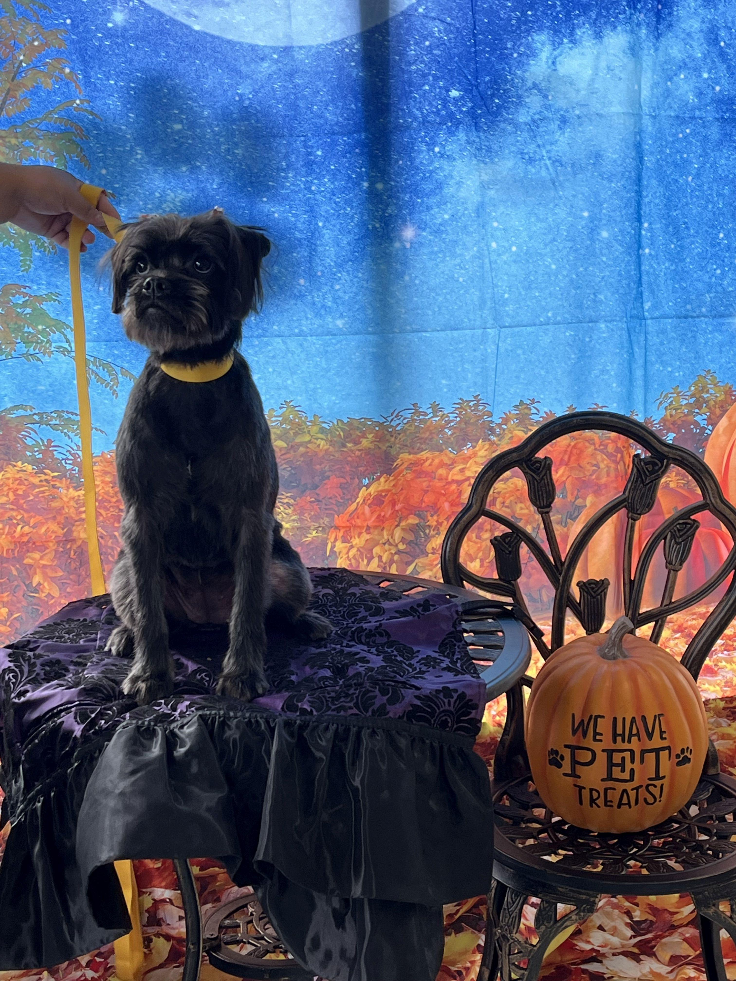 Penny Could Be Your Lucky Charm!