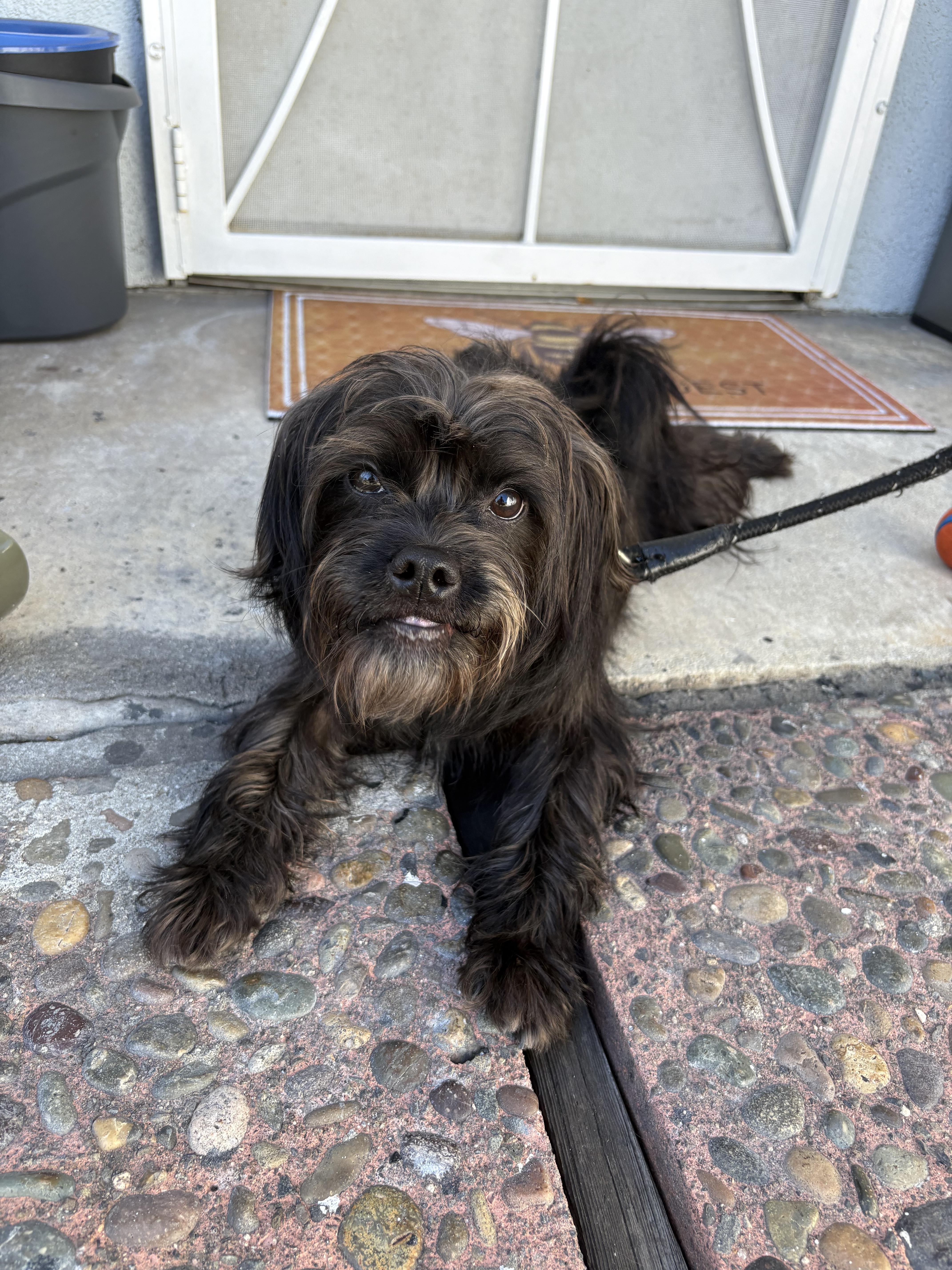 Penny Could Be Your Lucky Charm!