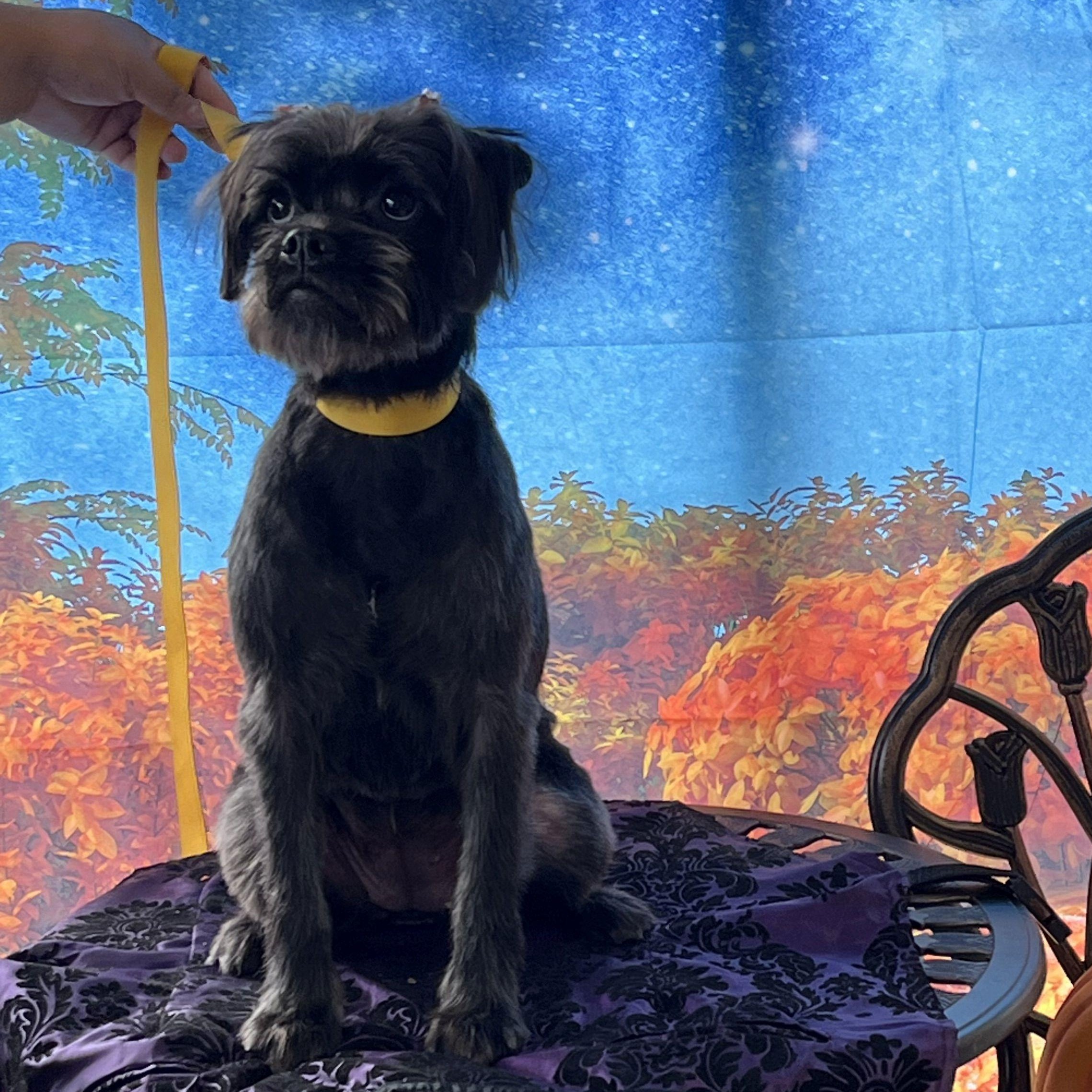 Penny Could Be Your Lucky Charm!