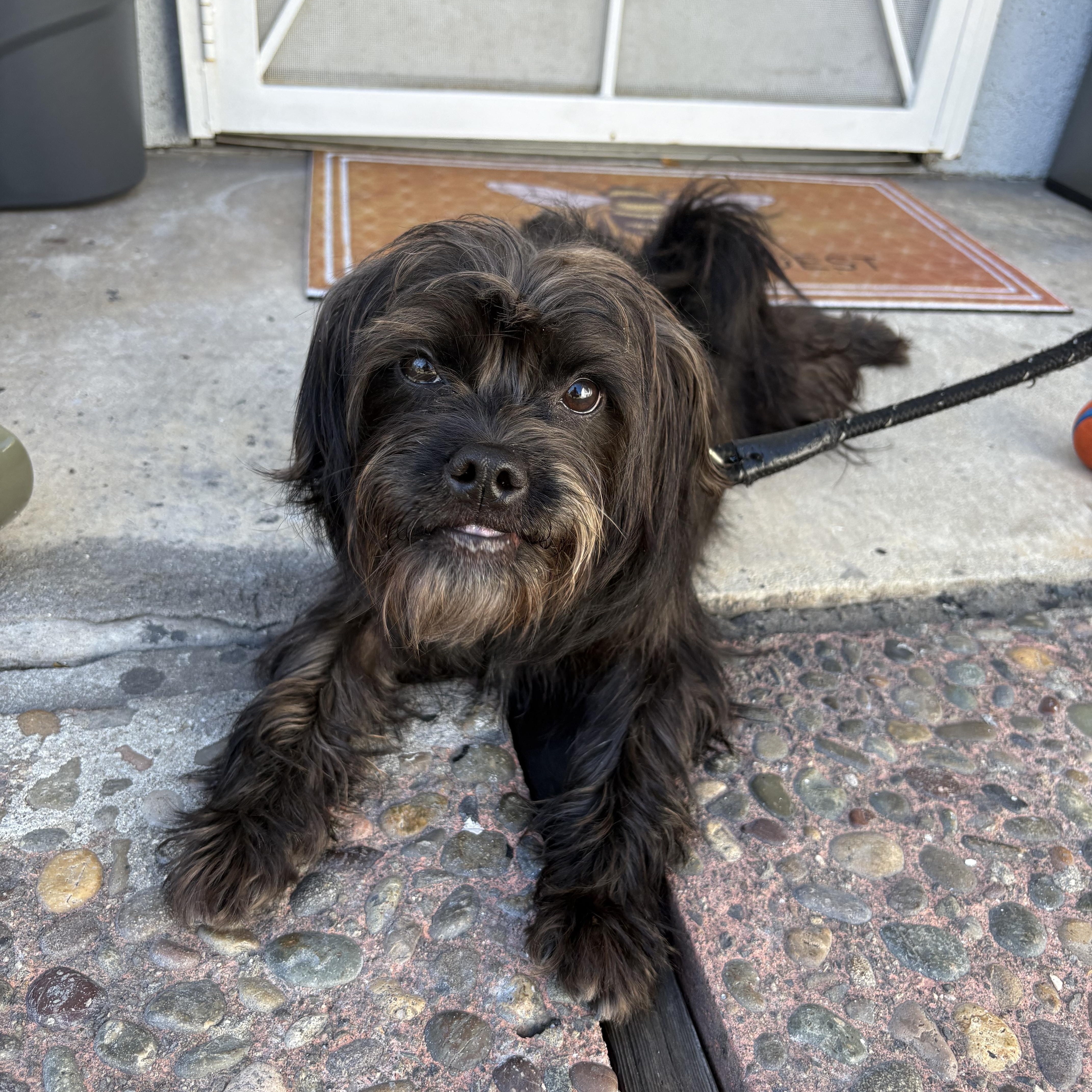 Penny Could Be Your Lucky Charm!