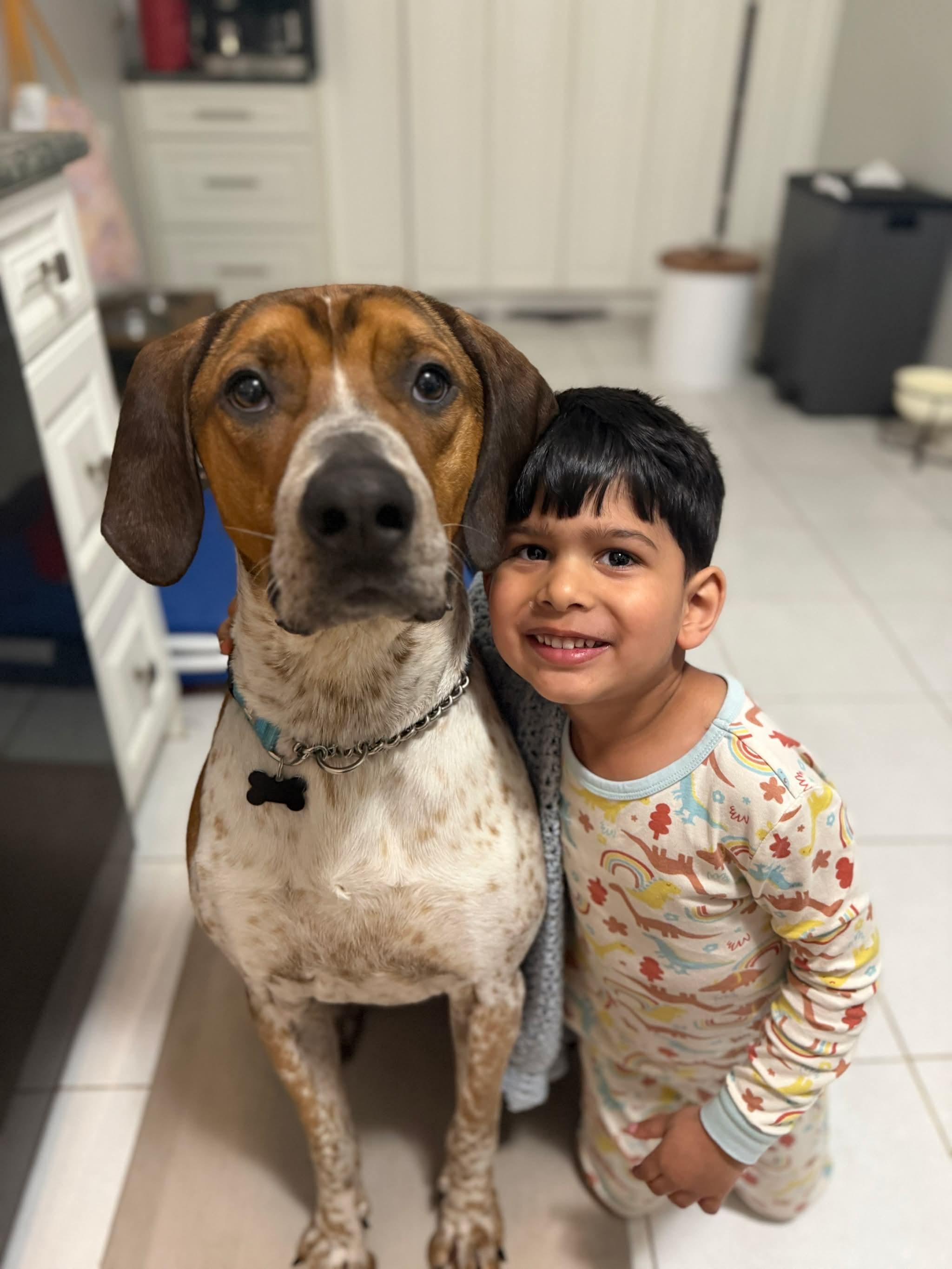 Dak, a ADOPTABLE mixed breed in Brampton, ON image 2/6