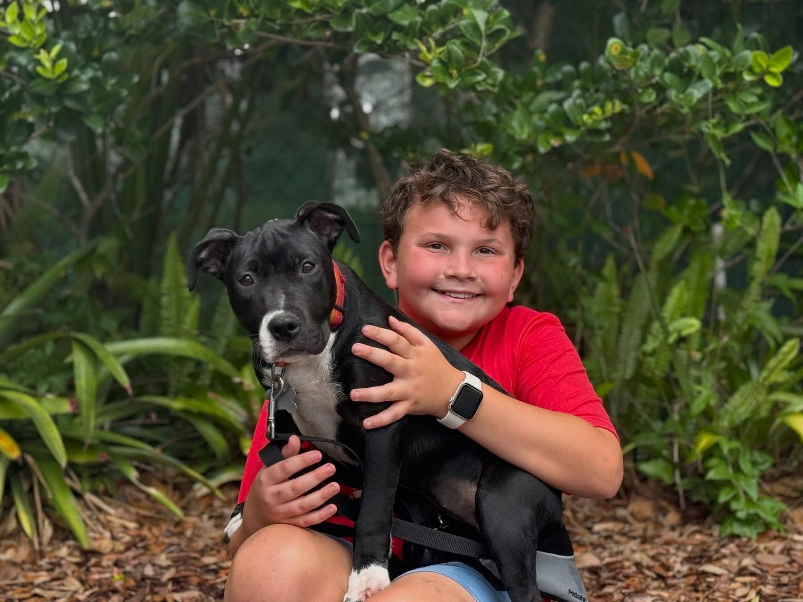 Enlarge Kate Beckett Doglando Graduate, a Adopted Terrier in Sanford, FL image 3/3