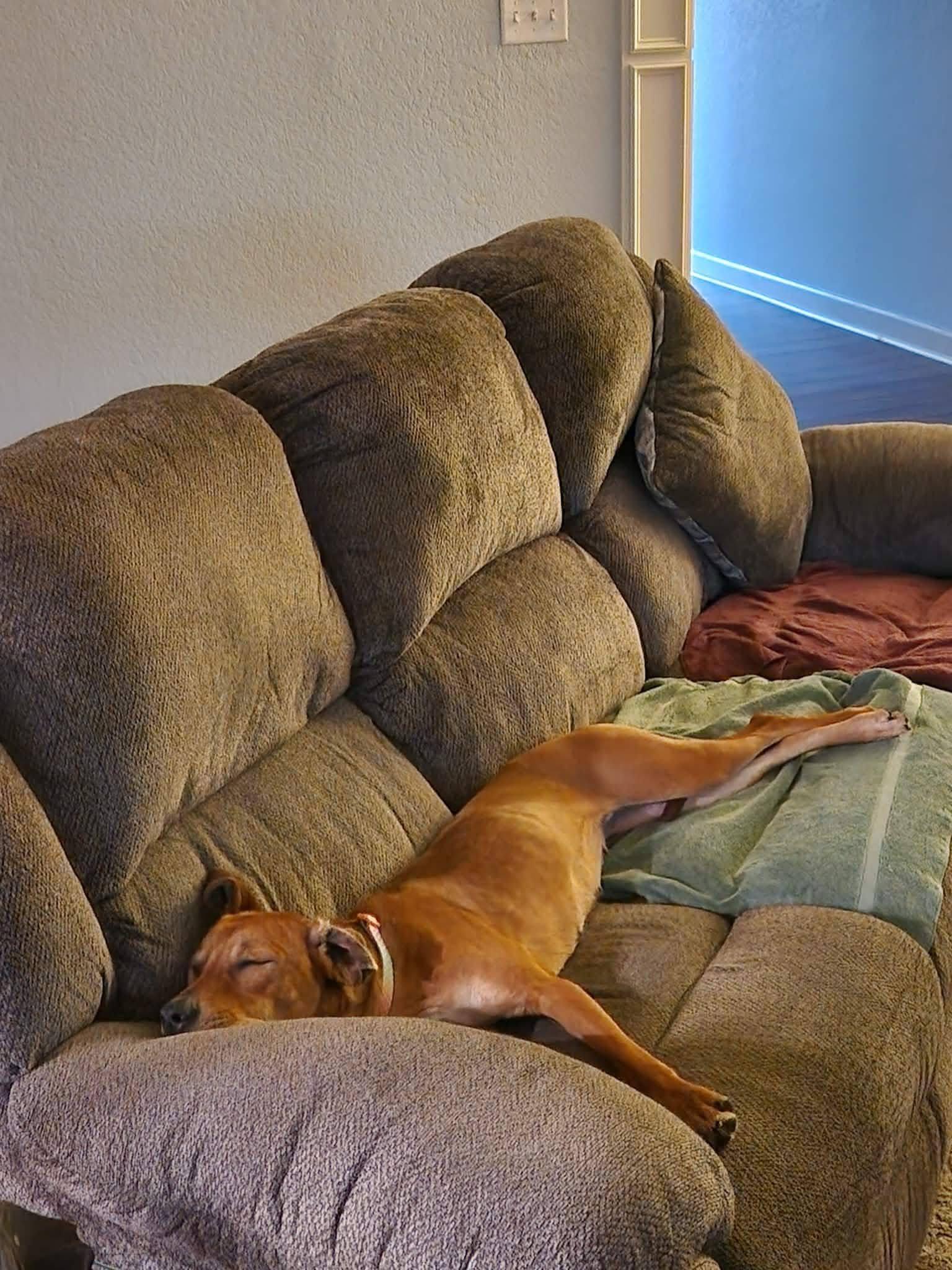 Lady — thumbnail 5