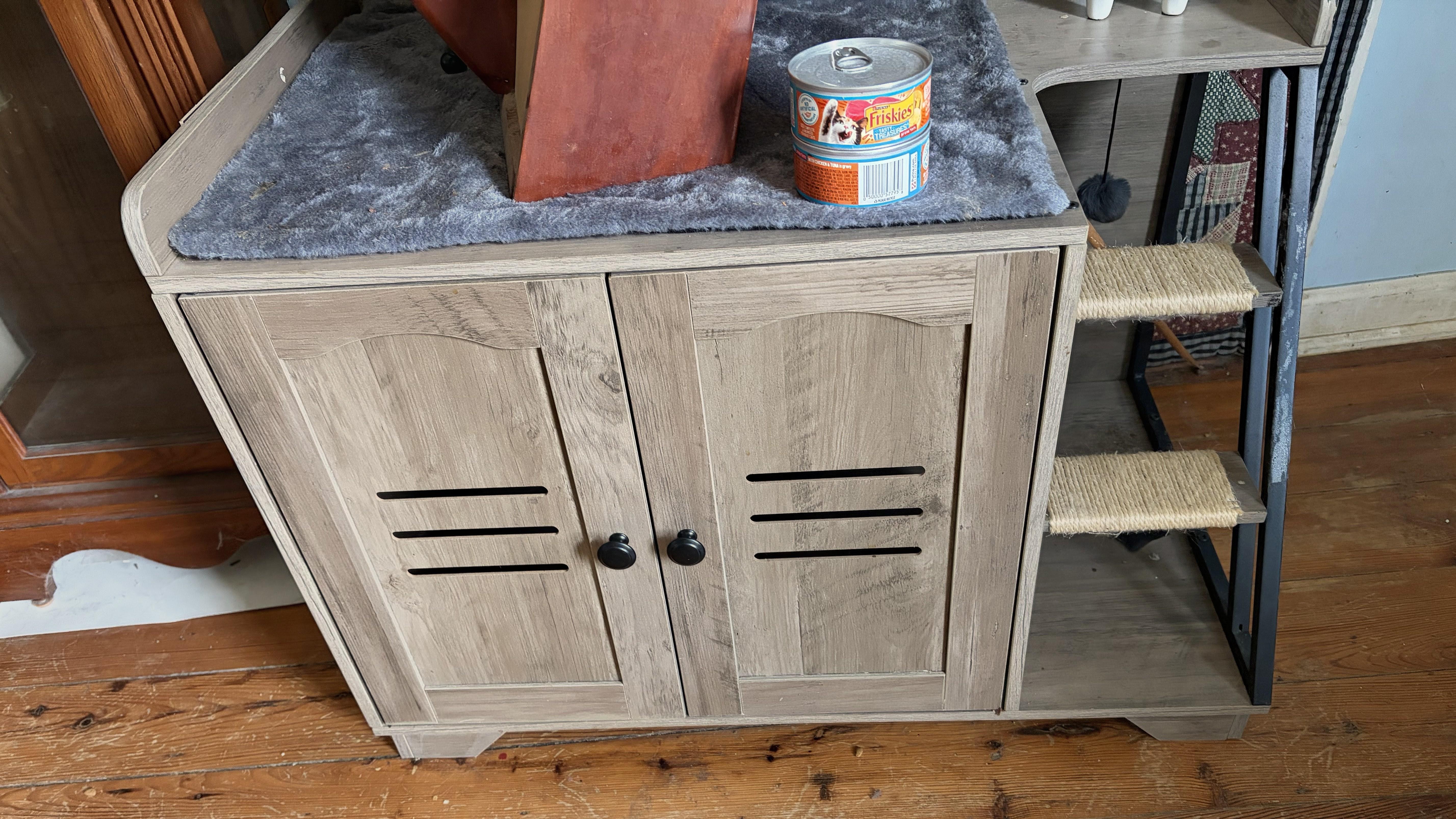 Enlarge Lilly, a ADOPTABLE mixed breed in Blacksburg, VA image 4/4