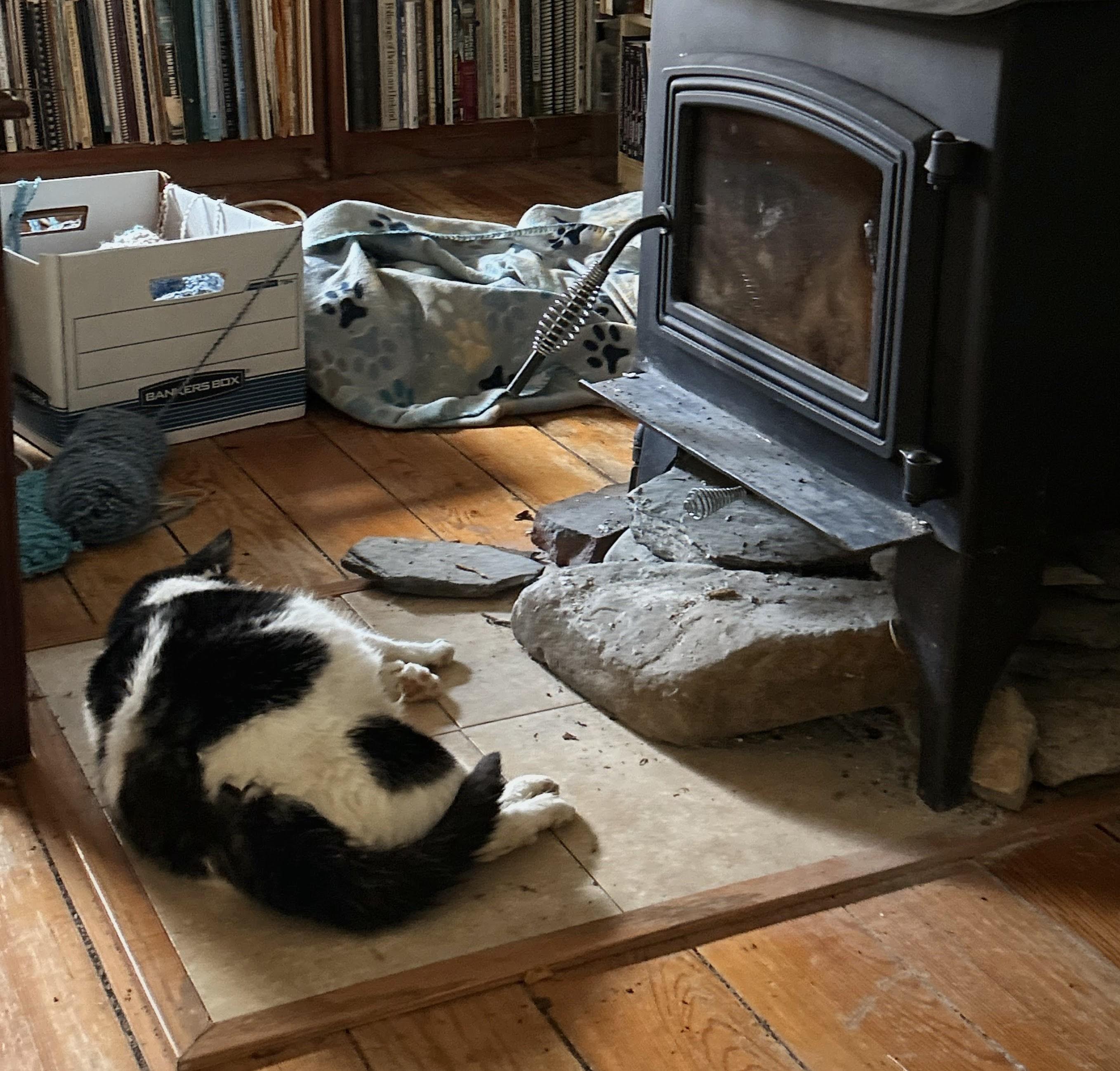 Enlarge Lilly, a ADOPTABLE mixed breed in Blacksburg, VA image 2/4