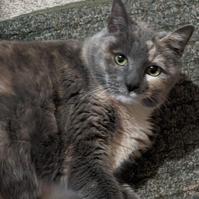 SALLY (Courtesy Listing)
