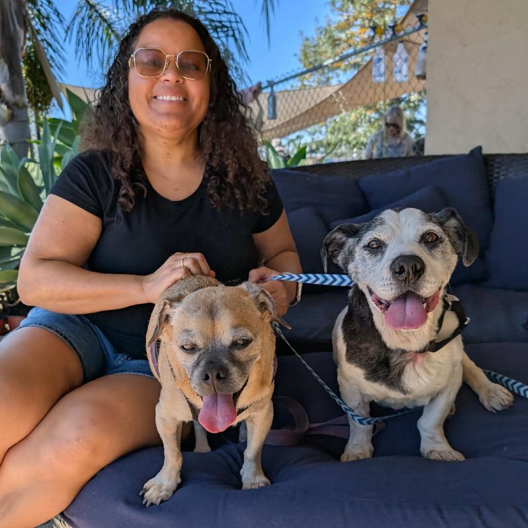 Harold — thumbnail 4