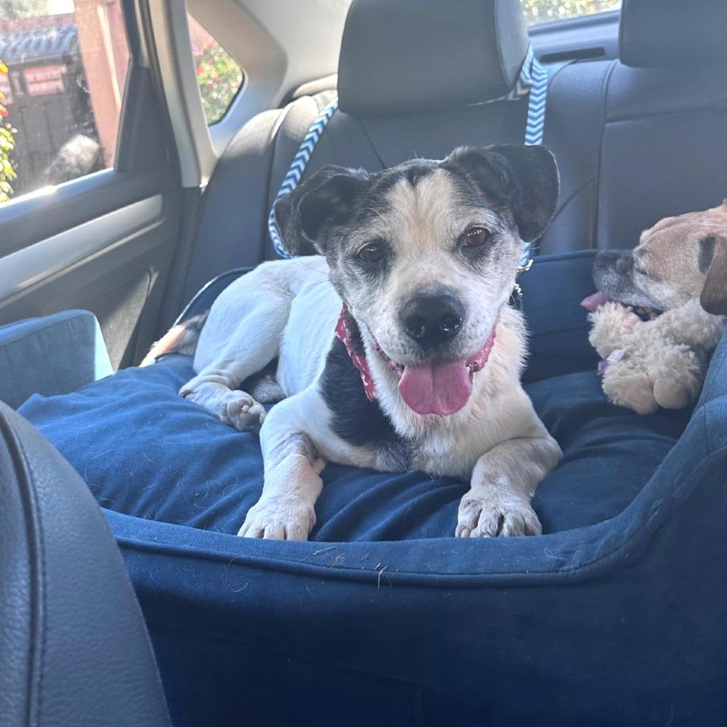 Harold — thumbnail 5