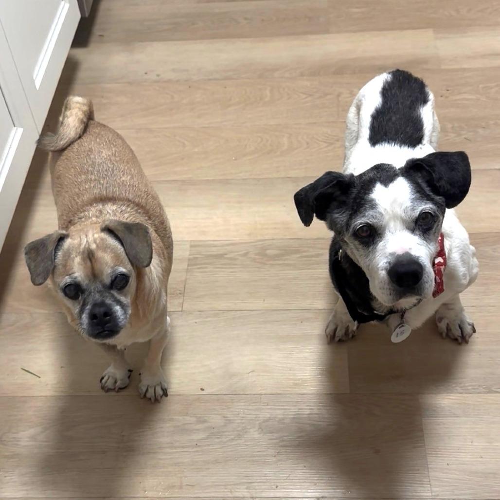 Harold — thumbnail 6