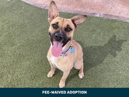 Rainbow — thumbnail 3