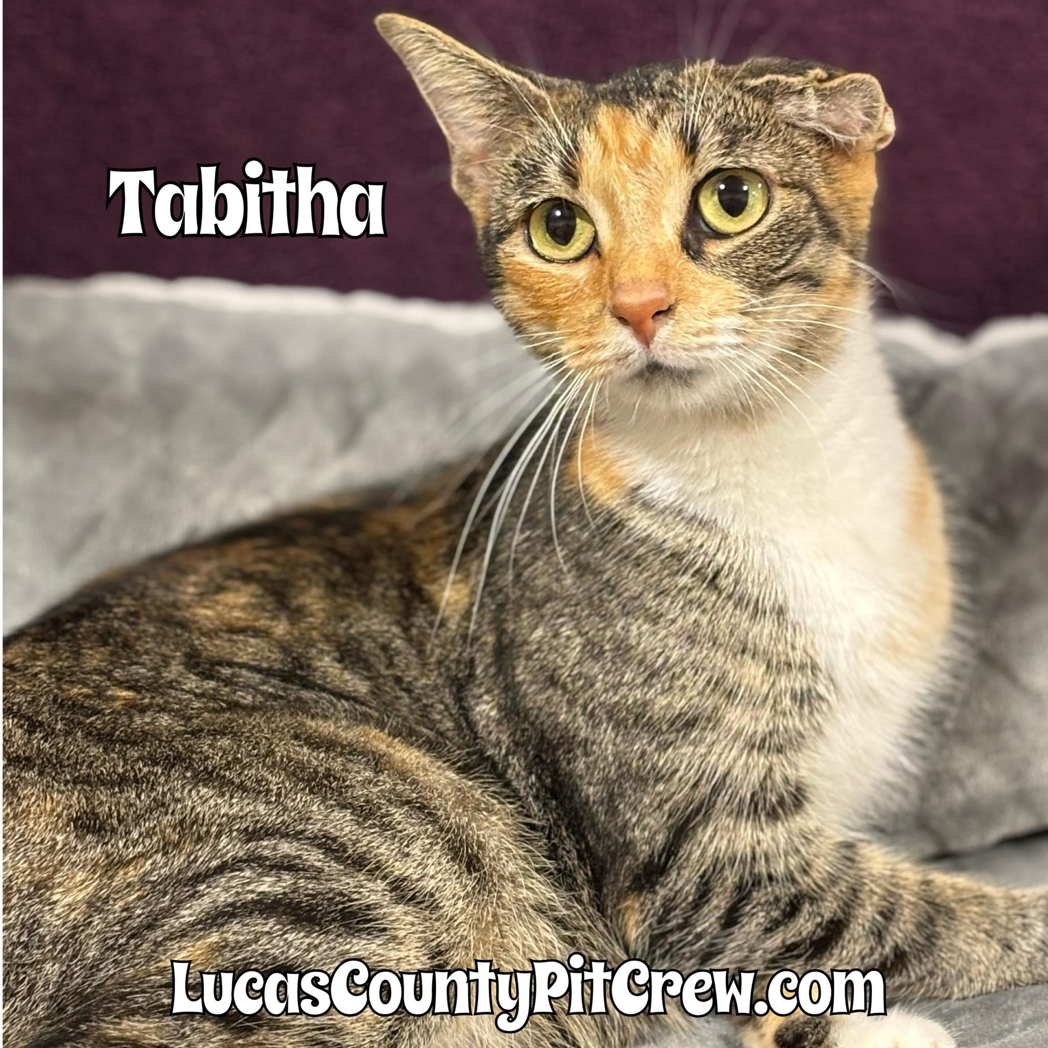Tabitha