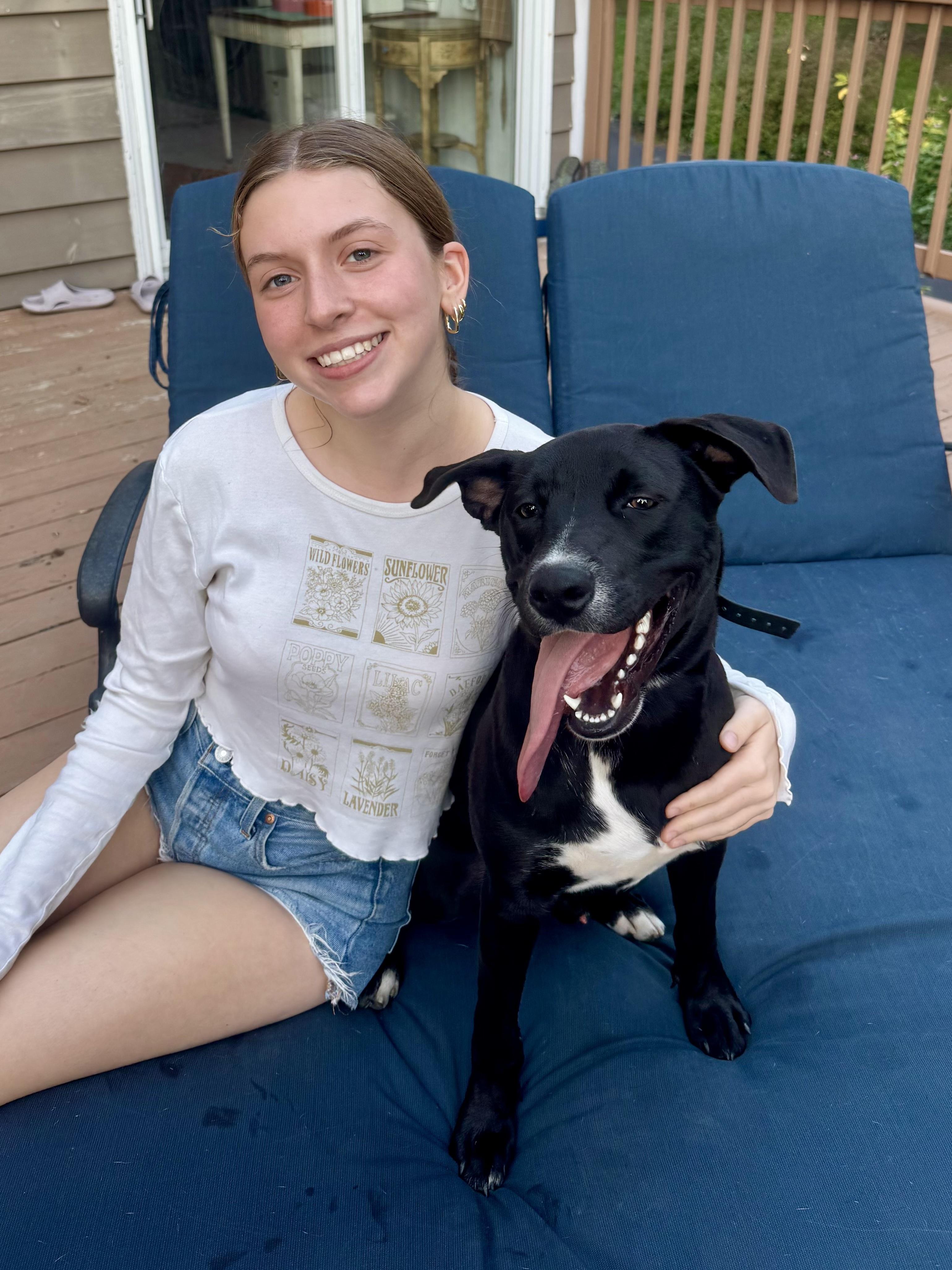 Enlarge Tahoe, an adopted mixed breed in Carlstadt, NJ image 2/6