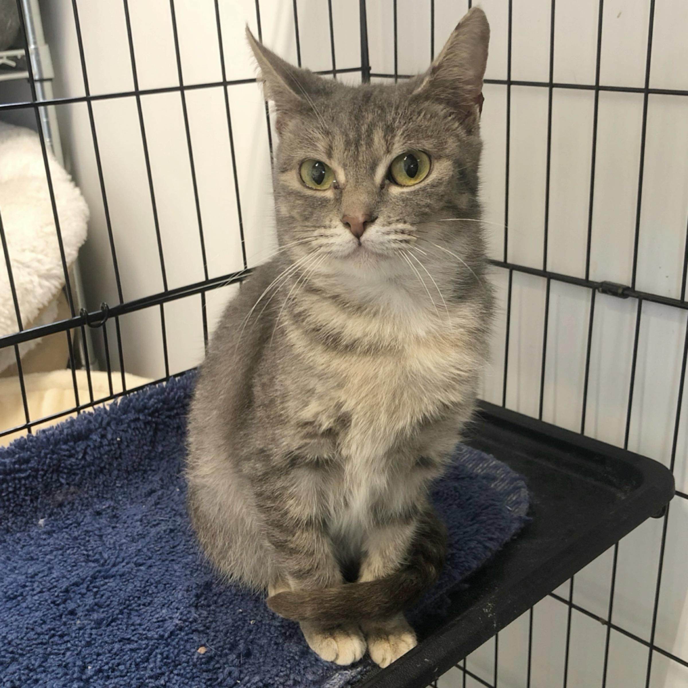 Tripp — thumbnail 3