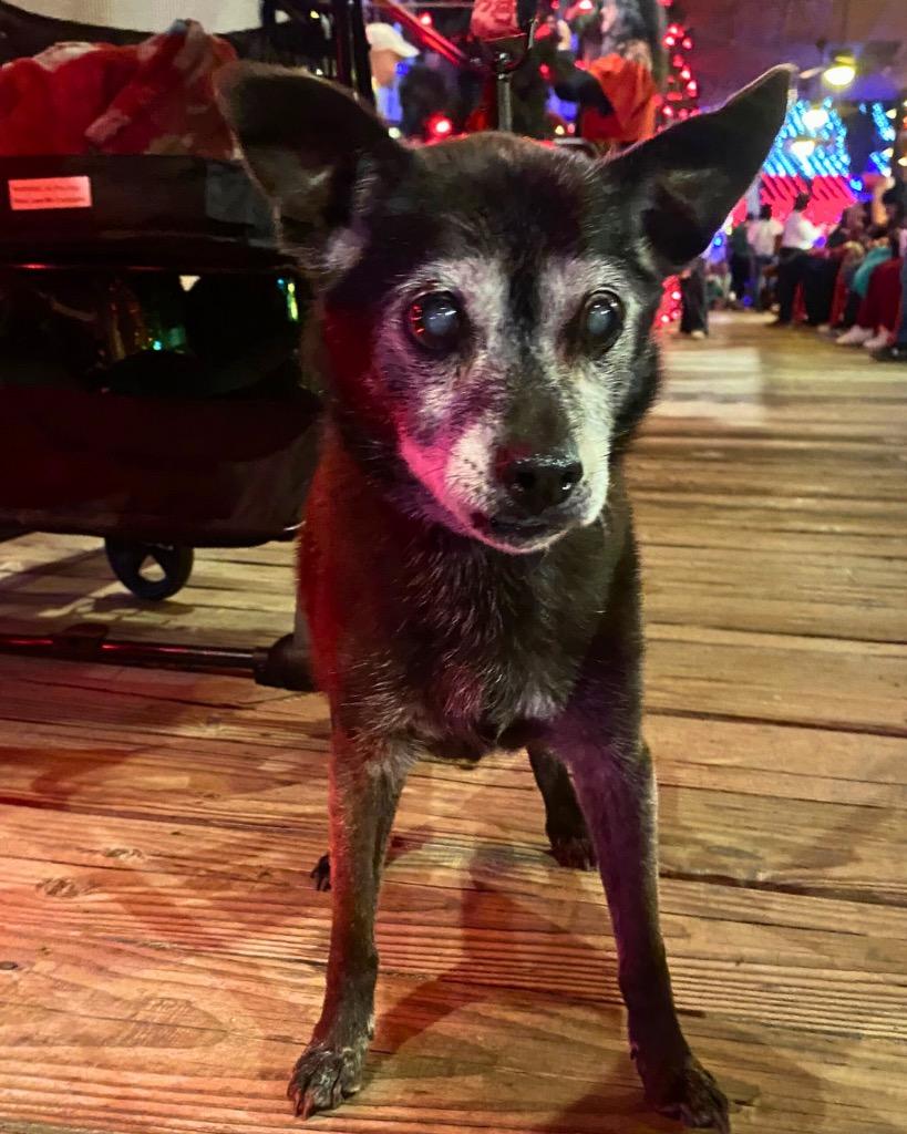 Ellen Griswold — thumbnail 3