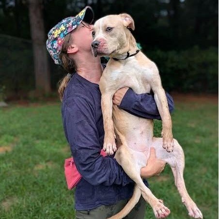 Brynn, a ADOPTABLE mixed breed in Danbury, CT image 2/3