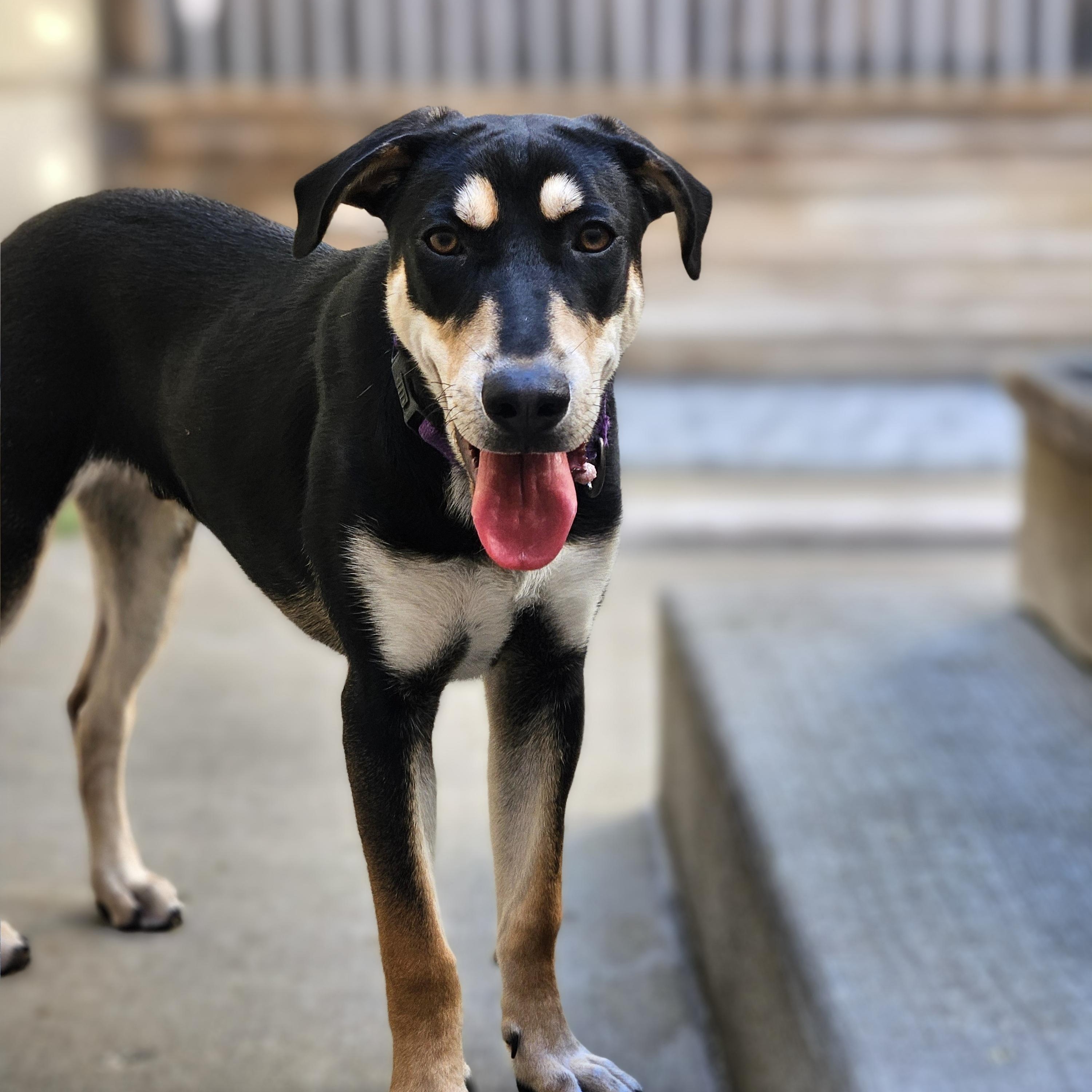 Stuart (REDUCED FEE!) 2