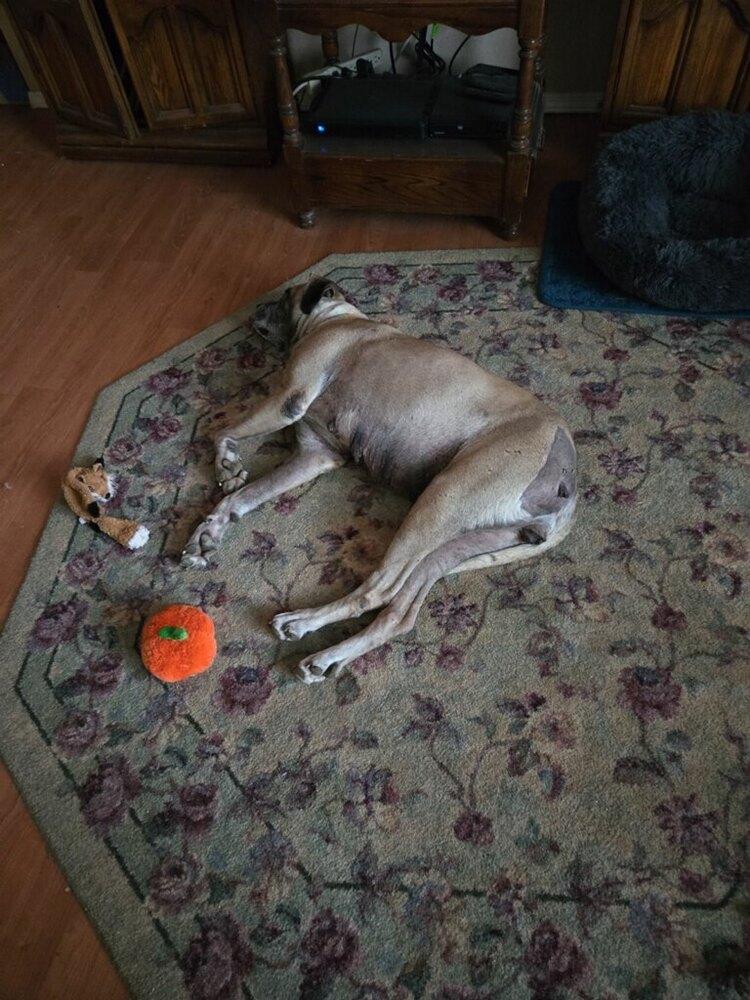 Brigitte thumbnail 2