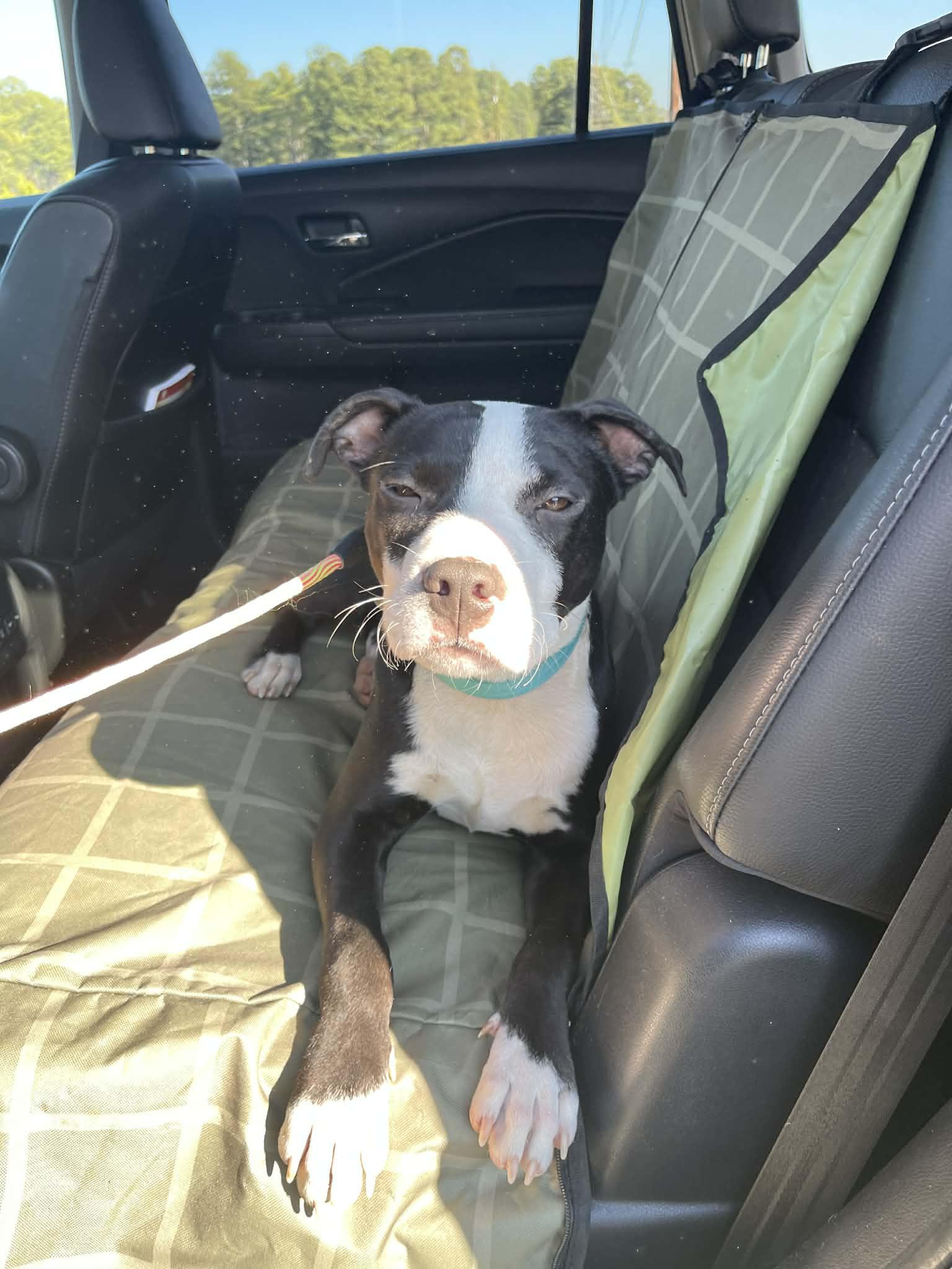 Hamilton thumbnail 2