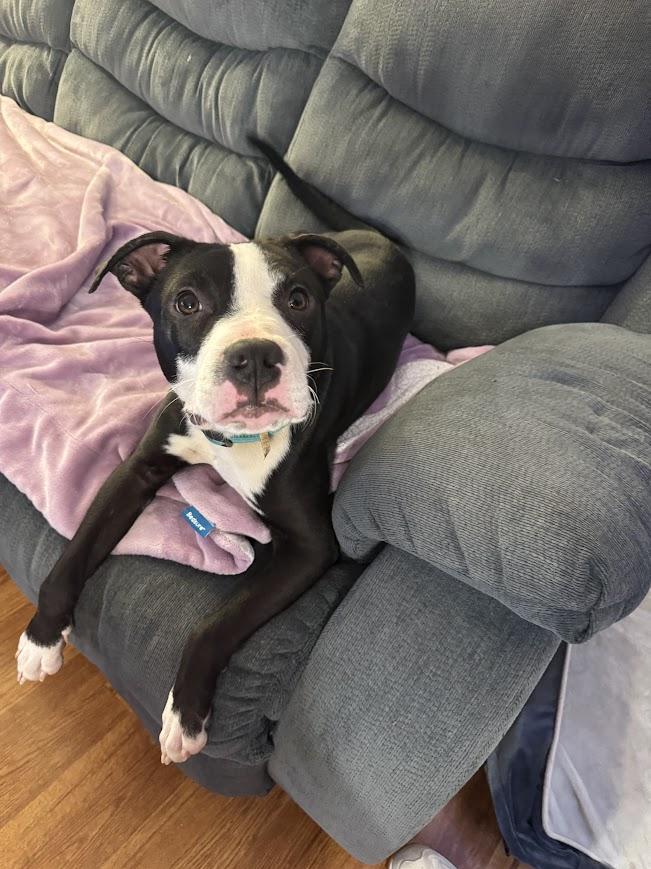 Hamilton thumbnail 3