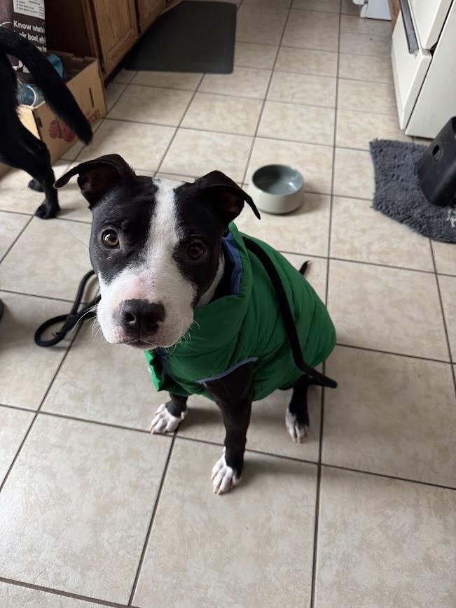 Hamilton thumbnail 5