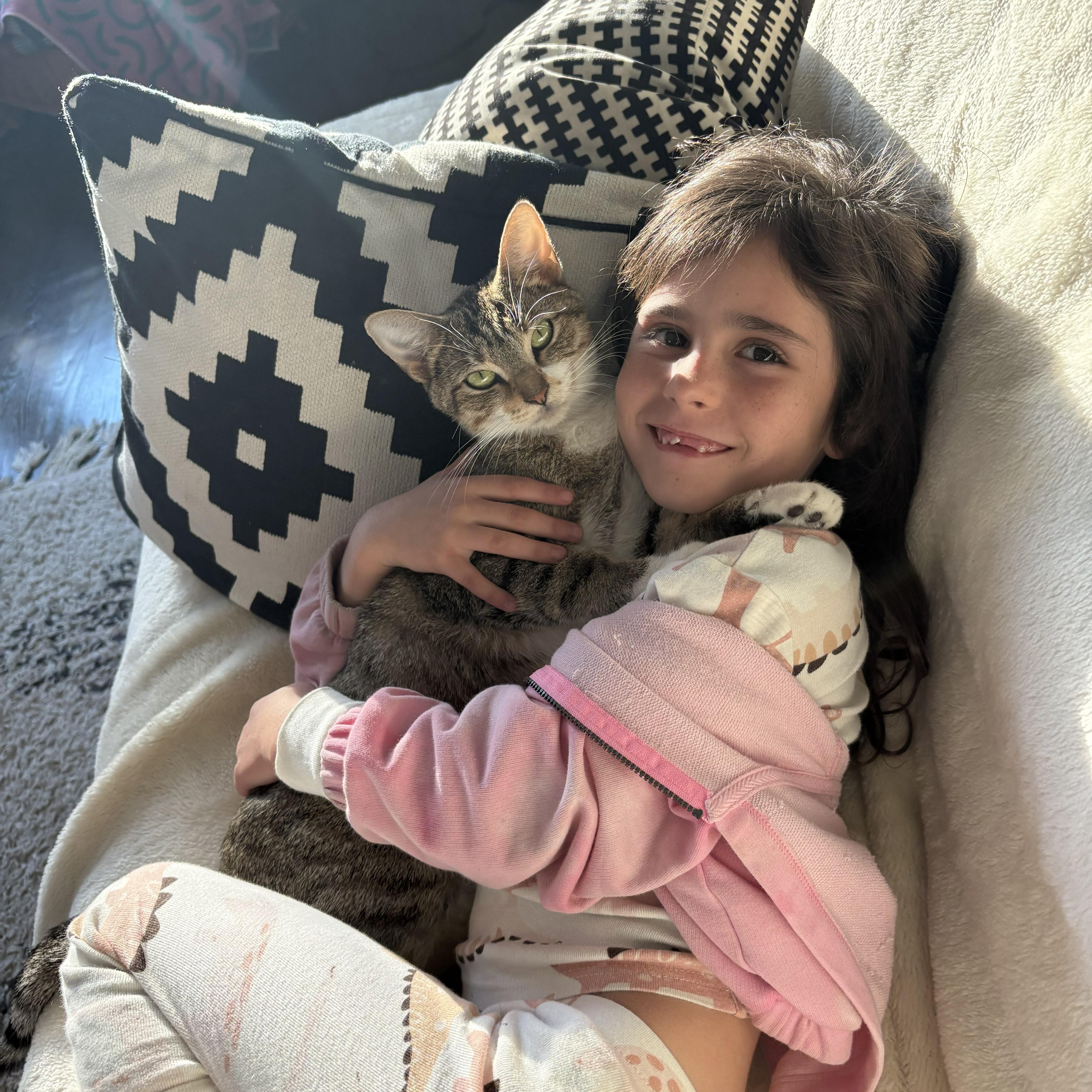 Enlarge Swan (bonded with Cygnet), a Adoptable Domestic Short Hair in Chicago, IL image 3/5