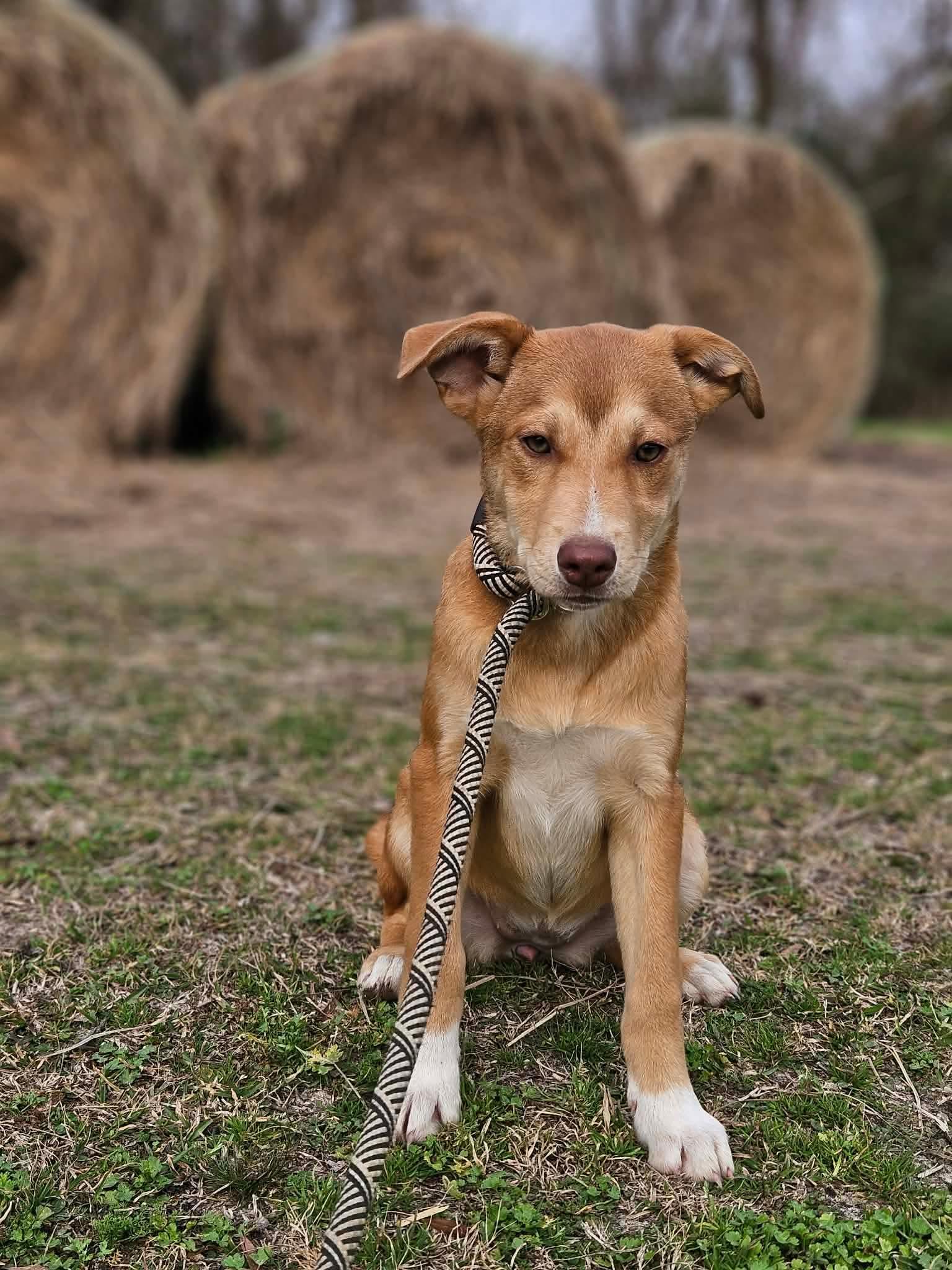 Leah Theo — thumbnail 2