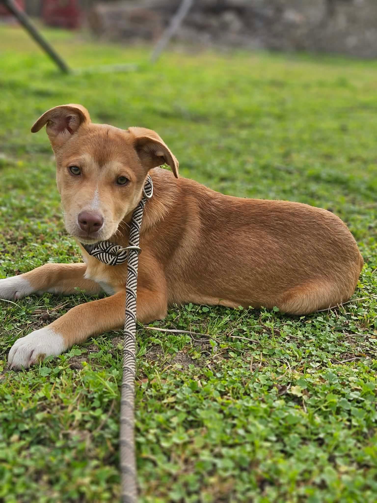 Leah Theo — thumbnail 3