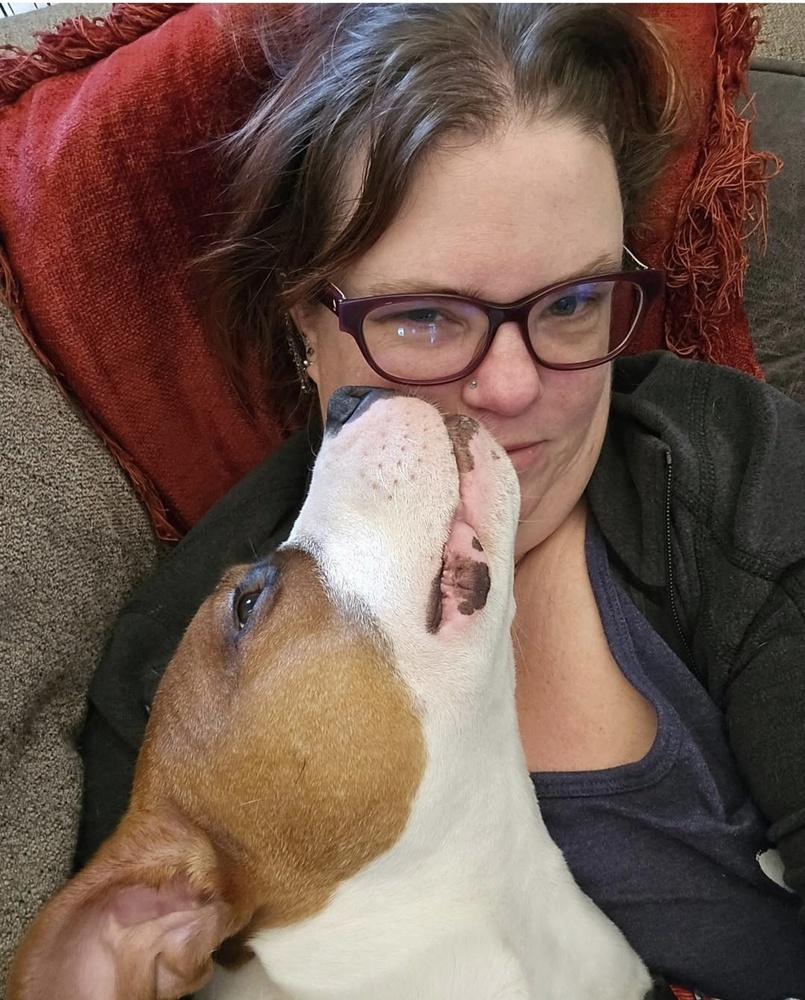 Bowie — thumbnail 2