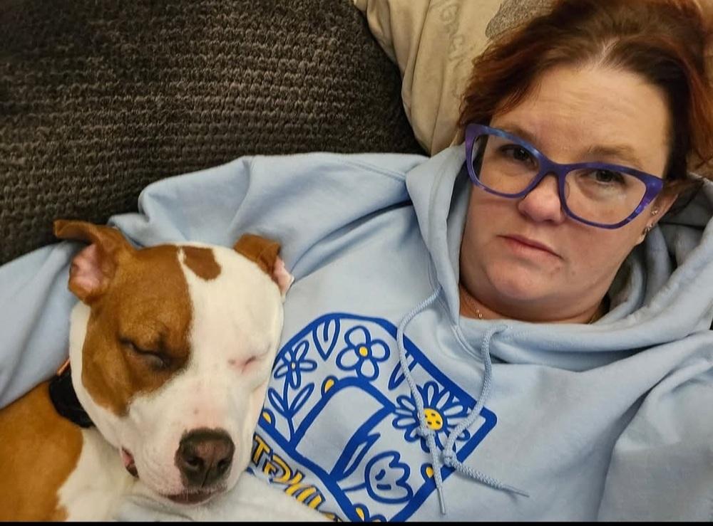 Bowie — thumbnail 4